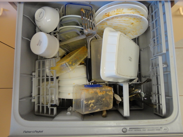 Dishwasher Detergent Test - Phosphated vs Regular