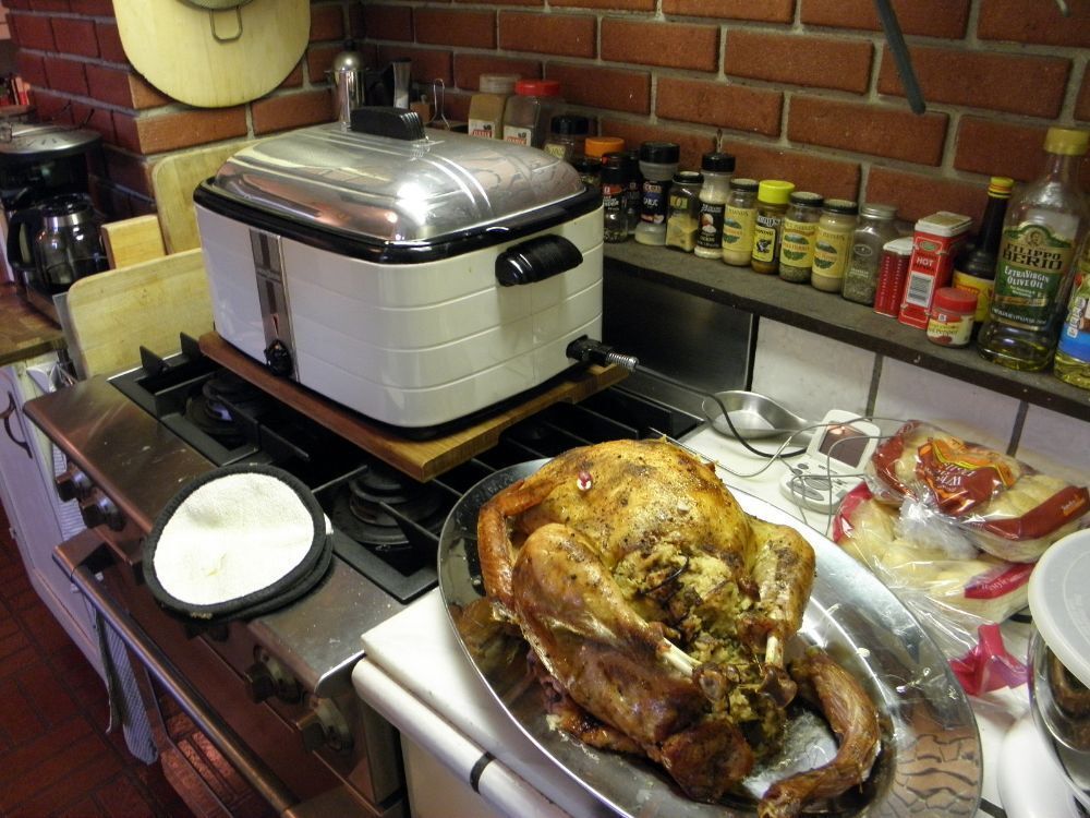 Restored Hamilton Beach 28 lb. Turkey Roaster Oven (Refurbished) 